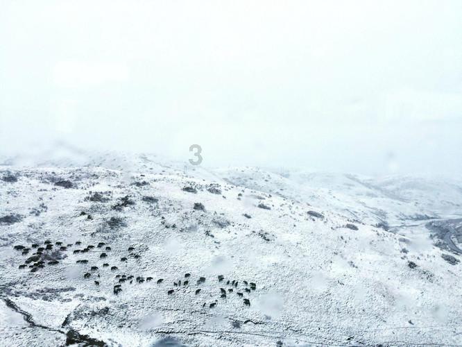 哈尔滨新区公交公司冰雪季开展特色旅游定制公交服务